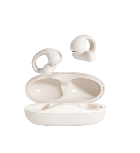Earphone